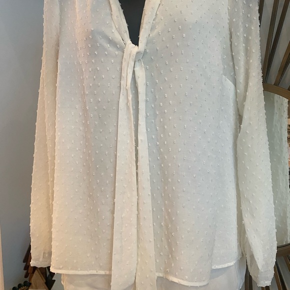 Chiffon pin dot ivory blouse with necktie - Picture 4 of 7